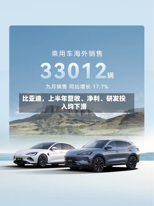 比亚迪，上半年营收、净利	、研发投入均下滑-第3张图片