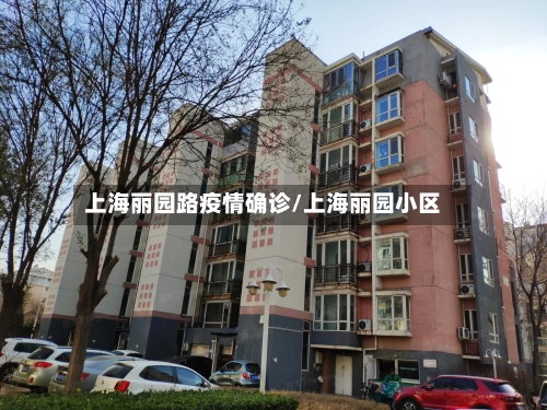 上海丽园路疫情确诊/上海丽园小区-第2张图片
