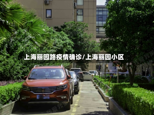 上海丽园路疫情确诊/上海丽园小区-第3张图片