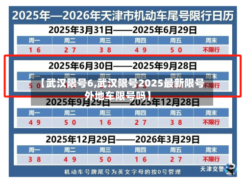 【武汉限号6,武汉限号2025最新限号外地车限号吗】-第2张图片