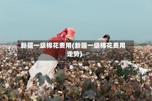 新疆一级棉花费用(新疆一级棉花费用走势)-第2张图片