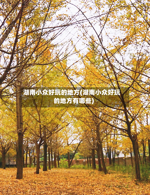 湖南小众好玩的地方(湖南小众好玩的地方有哪些)-第2张图片