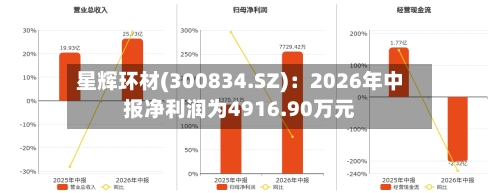 星辉环材(300834.SZ):2026年中报净利润为4916.90万元-第1张图片