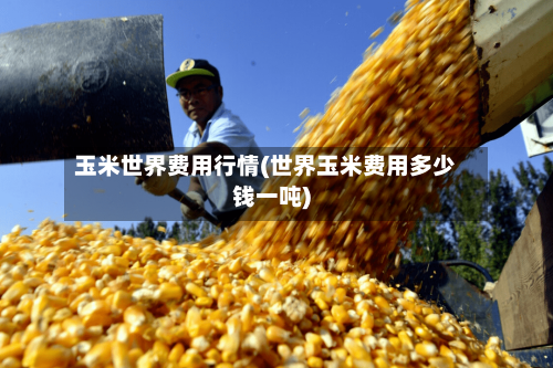 玉米世界费用行情(世界玉米费用多少钱一吨)
