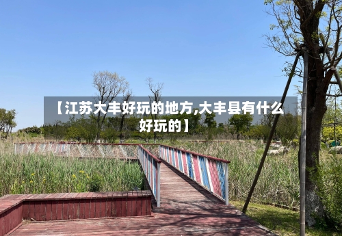 【江苏大丰好玩的地方,大丰县有什么好玩的】-第2张图片