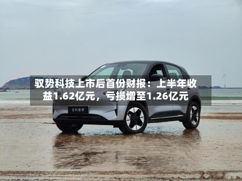 驭势科技上市后首份财报：上半年收益1.62亿元	，亏损增至1.26亿元-第2张图片