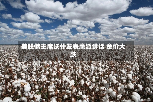 美联储主席沃什发表鹰派讲话 金价大跌-第3张图片