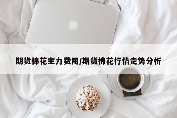 期货棉花主力费用/期货棉花行情走势分析