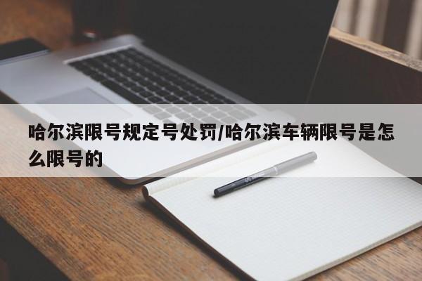 哈尔滨限号规定号处罚/哈尔滨车辆限号是怎么限号的