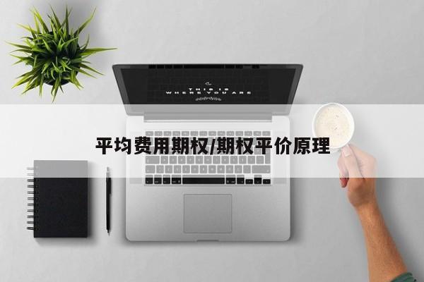 平均费用期权/期权平价原理