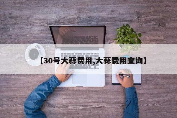 【30号大蒜费用,大蒜费用查询】