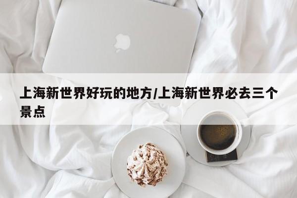 上海新世界好玩的地方/上海新世界必去三个景点