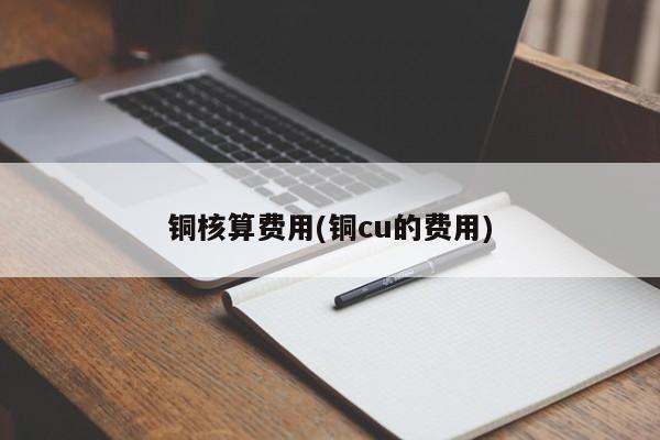 铜核算费用(铜cu的费用)