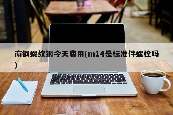 南钢螺纹钢今天费用(m14是标准件螺栓吗)