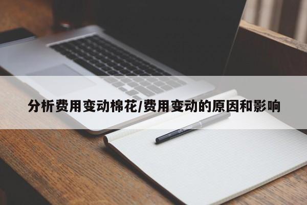 分析费用变动棉花/费用变动的原因和影响