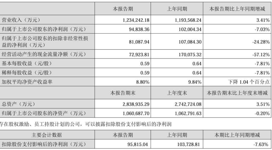 光伏组件企业“盈利王	”:上半年净利9.5亿、出货12GW